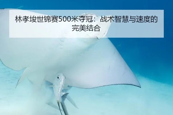 林孝埈世锦赛500米夺冠：战术智慧与速度的完美结合