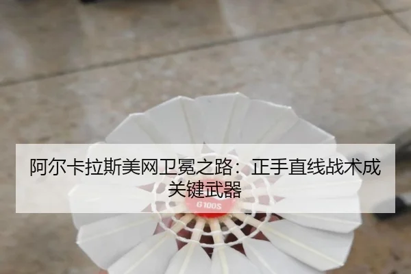 a-er-ka-la-si-mei-wang-wei-mian-zhi-lu-zheng-shou-zhi-xian-zhan-shu-cheng-guan-jian-wu-qi-2-582.jpg