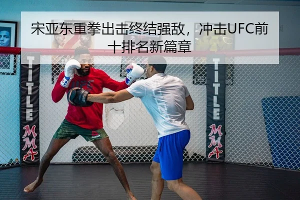 song-ya-dong-zhong-quan-chu-ji-zhong-jie-qiang-di-chong-ji-qian-shi-pai-ming-xin-pian-zhang-3-764.jpg